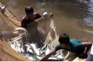 পাহাড়ের ঘোনায় মাছ চাষ